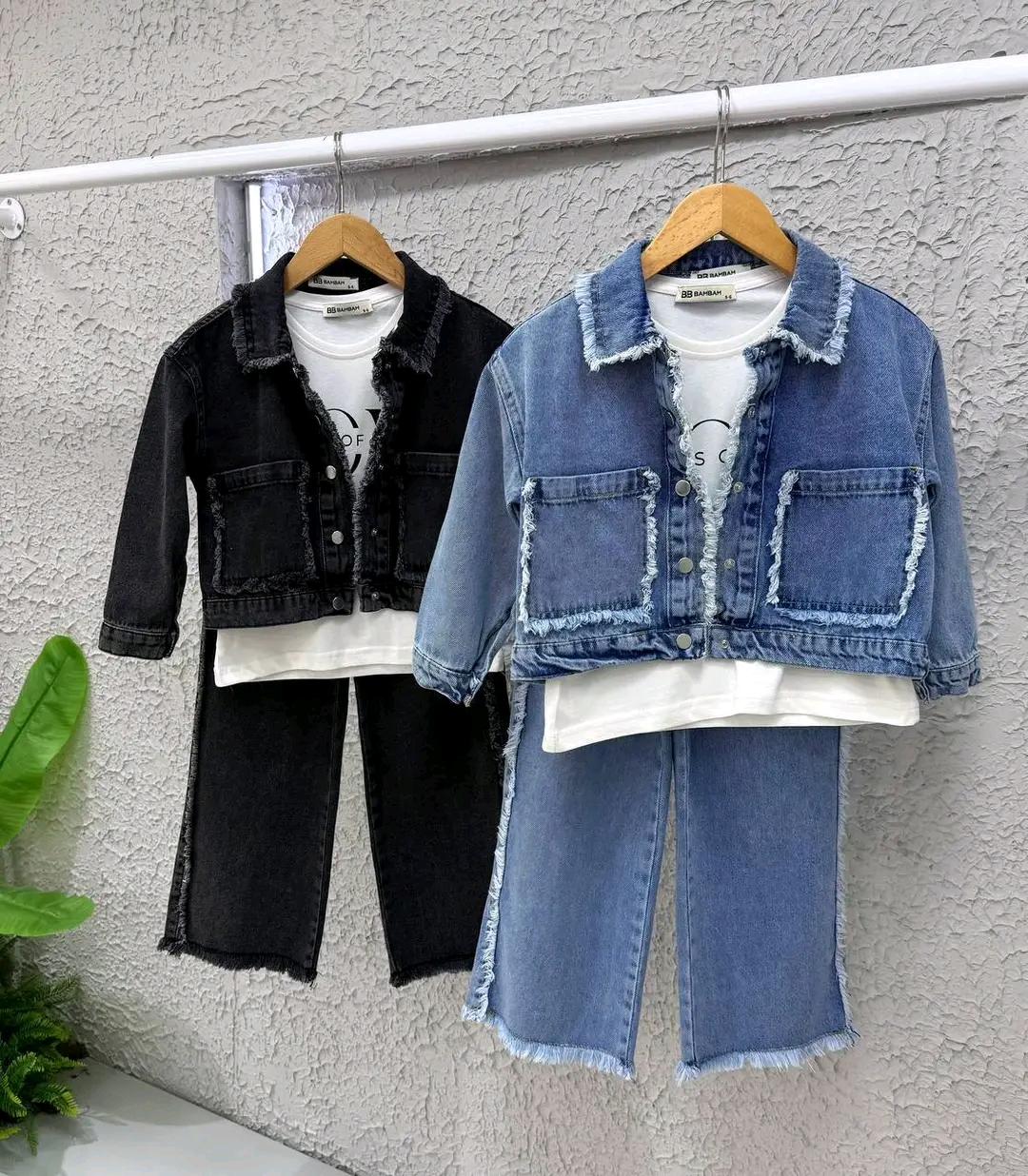 Collection 2026 image