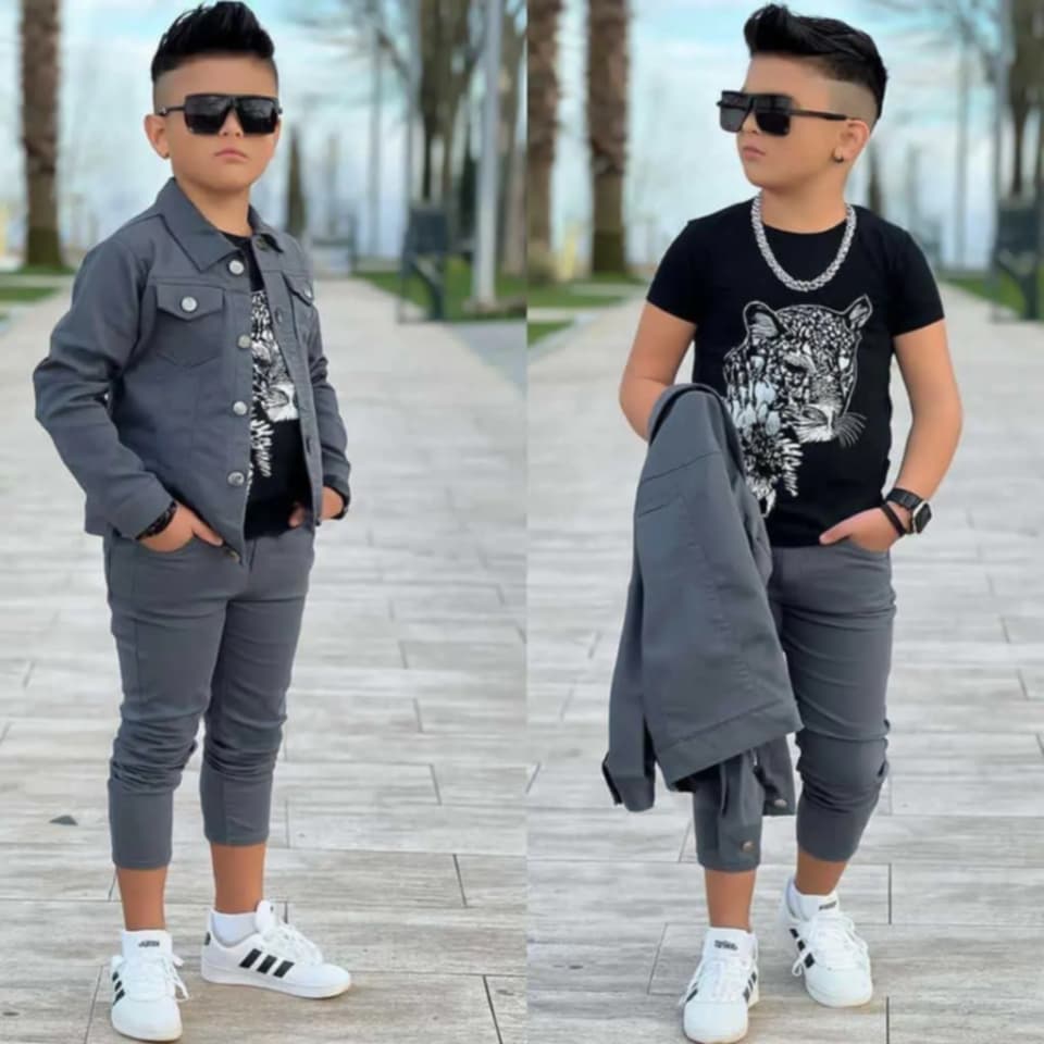 Collection 2026 image